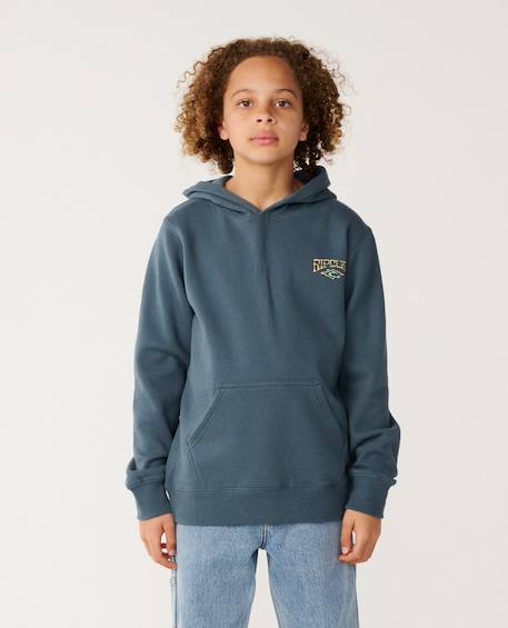 Garçon-Pull, gilet, sweat-Sweat à capuche garçon air shred