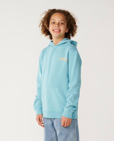 Sweat à capuche garçon surf shack art Washed black+Wave pool 8 - vertbaudet enfant 