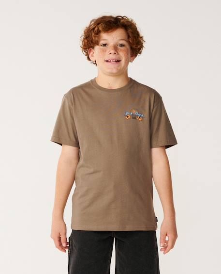 T-shirt garçon hazed & tubed Walnut+Washed black 1 - vertbaudet enfant 