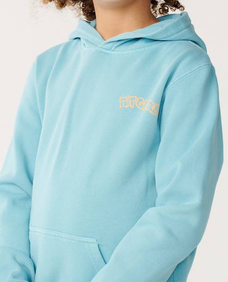 Sweat à capuche garçon surf shack art Washed black+Wave pool 11 - vertbaudet enfant 