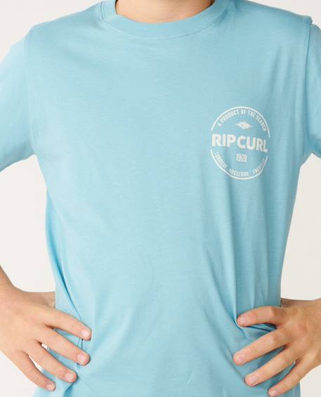 T-shirt garçon staple Blanc+Light navy+Wave pool 17 - vertbaudet enfant 