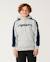 Sweat à capuche garçon archive panel Grey marle 4 - vertbaudet enfant 