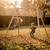 Balançoire double en bois pour jardin enfant dès 3 ans Naturel 2 - vertbaudet enfant 