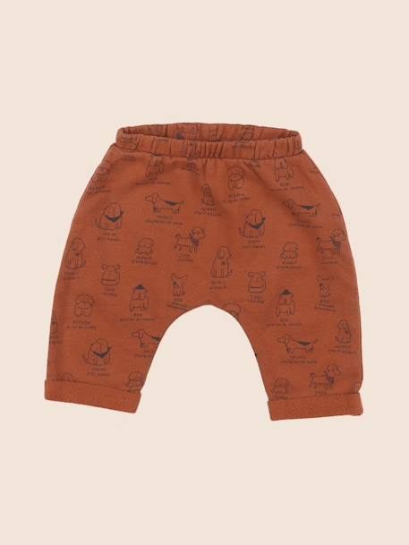 Sarouel - 6 mois Marron 1 - vertbaudet enfant 