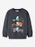 Sweatshirt à motifs garçon name it beige+bleu grisé+olive 4 - vertbaudet enfant 
