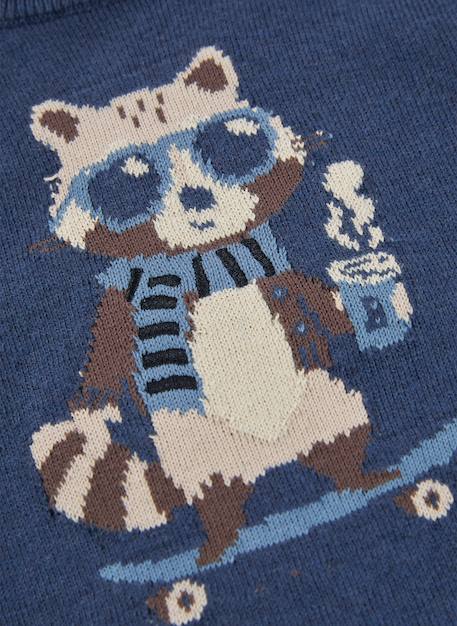 Pull garçon imprimé raton laveur skater Bleu 3 - vertbaudet enfant 