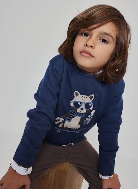 Pull garçon imprimé raton laveur skater Bleu 1 - vertbaudet enfant 