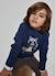 Pull garçon imprimé raton laveur skater Bleu 1 - vertbaudet enfant 