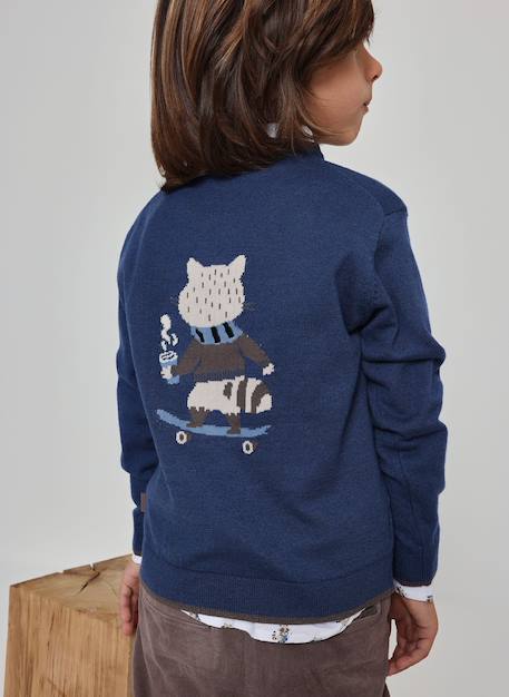 Pull garçon imprimé raton laveur skater Bleu 2 - vertbaudet enfant 