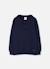 Pull garçon avec col polo Bleu 2 - vertbaudet enfant 