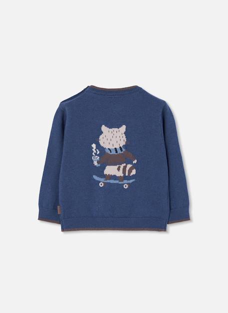 Pull garçon imprimé raton laveur skater Bleu 4 - vertbaudet enfant 