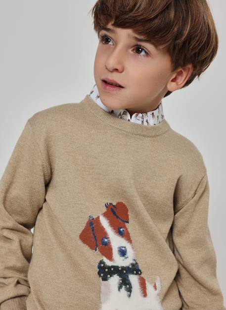 Pull garçon imprimé chien Beige 1 - vertbaudet enfant 