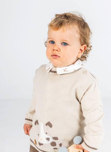 Pull bébé garçon avec imprimé chien Beige 1 - vertbaudet enfant 