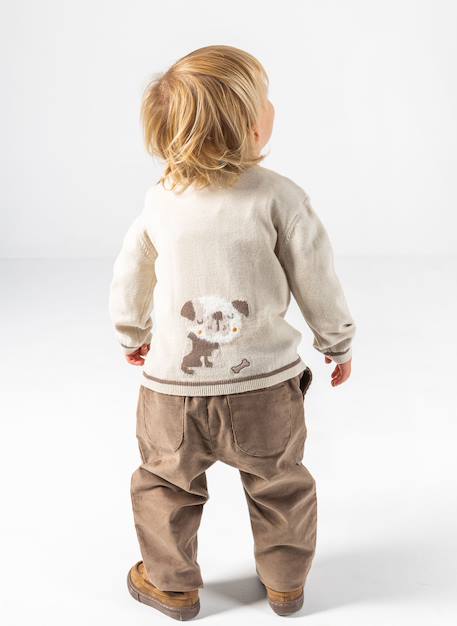Pull bébé garçon avec imprimé chien Beige 2 - vertbaudet enfant 