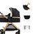 Poussette multifonction 2 en 1 ESME avec grandes roues, suspension, pliage compact, transformation nacelle en poussette, harnais 5 points, adaptateurs travel system, canopy large, panier, jusqu’à 25 kg . Noir 4 - vertbaudet enfant 