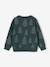 Sweat de Noël garçon vert foncé 4 - vertbaudet enfant 