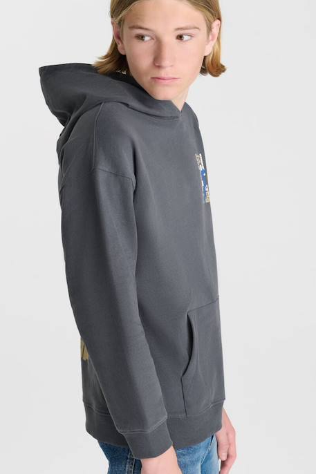 Sweat-shirt capuche istrebo Steel 3 - vertbaudet enfant 