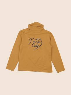 Sous-pull - 6 ans  - vertbaudet enfant