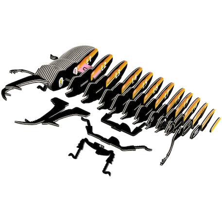 Puzzle 3d - coléoptère lucanidae Multicolor 2 - vertbaudet enfant 