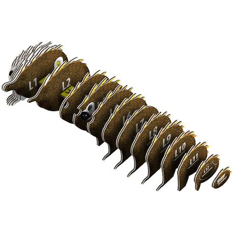 Puzzle 3d - échydné Brown 2 - vertbaudet enfant 