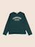 Sweat - 12 ans Vert 1 - vertbaudet enfant 