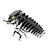 Puzzle 3d - scarabée rhinocéros Black 2 - vertbaudet enfant 