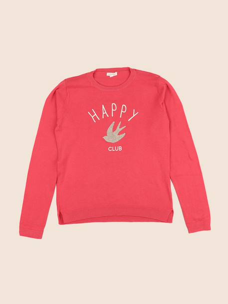 Pull - 12 ans Rose 1 - vertbaudet enfant 