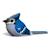 Puzzle 3d - geai bleu Blue 2 - vertbaudet enfant 