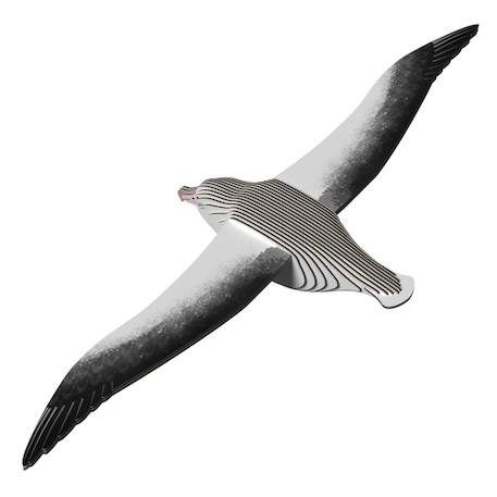 Puzzle 3d - albatros royal Black;white 2 - vertbaudet enfant 