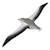 Puzzle 3d - albatros royal Black;white 2 - vertbaudet enfant 