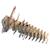 Puzzle 3d - raptor Brown 2 - vertbaudet enfant 
