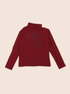 Sous-pull - 10 ans  - vertbaudet enfant