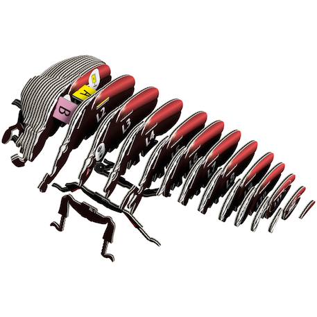Puzzle 3d - coléoptère goliath Multicolor 2 - vertbaudet enfant 