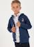 Sweat-shirt garçon broderie raton laveur Bleu 1 - vertbaudet enfant 