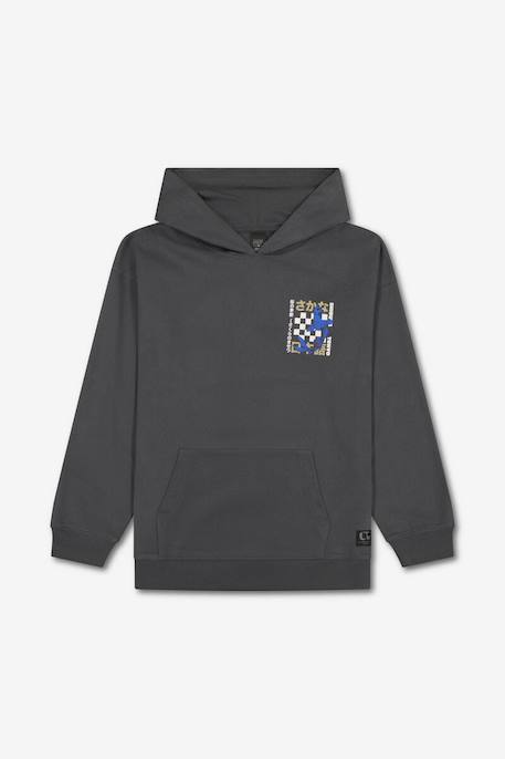 Sweat-shirt capuche istrebo Steel 6 - vertbaudet enfant 
