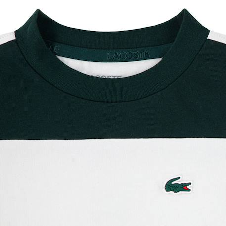 Tee-shirt garçon enfant en coton Farine, vert foncé, fuchsia+Noir, gris, blanc 3 - vertbaudet enfant 