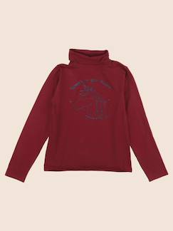Sous-pull - 10 ans  - vertbaudet enfant