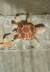 Peluche en coton ride & roll Bleu sauge, olive, toffee, naturel 1 - vertbaudet enfant 