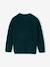 Pull noël manches longues garçon vert foncé 4 - vertbaudet enfant 