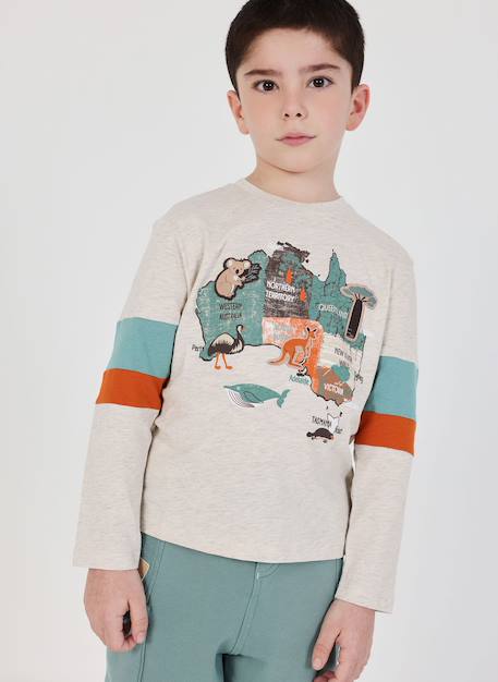 T-shirt garçon coton manches longues Marron 1 - vertbaudet enfant 