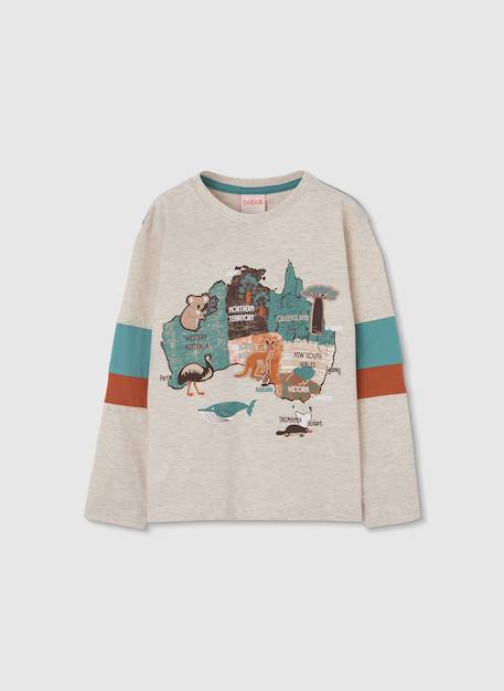 T-shirt garçon coton manches longues Marron 2 - vertbaudet enfant 