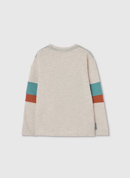T-shirt garçon coton manches longues Marron 3 - vertbaudet enfant 