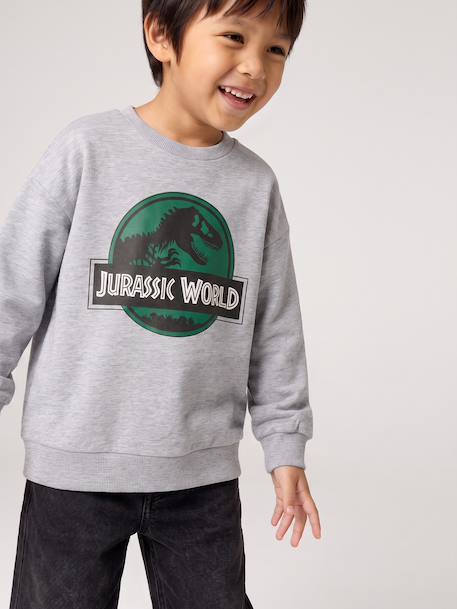 Sweat garçon Jurassic World gris chiné 1 - vertbaudet enfant 