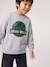 Sweat garçon Jurassic World gris chiné 1 - vertbaudet enfant 