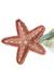 Baguette magique en coton starfish Rose canyon, rose, olive, miel 5 - vertbaudet enfant 