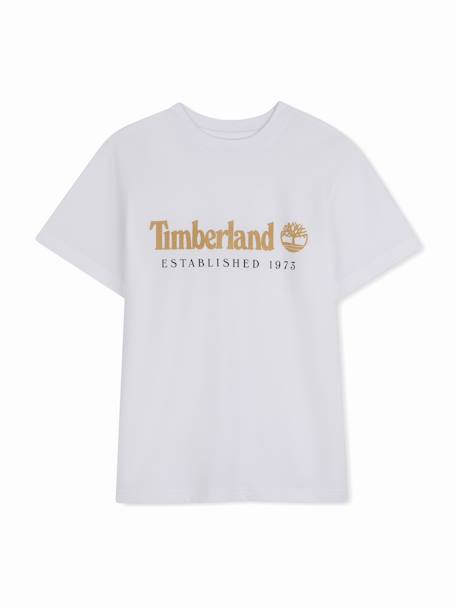 T-shirt  garçon à manches courtes Blanc+Marron clair 1 - vertbaudet enfant 