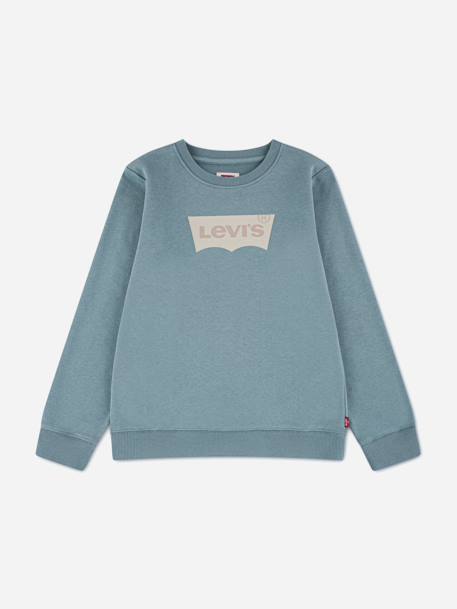 Sweat garçon col rond Bleu 1 - vertbaudet enfant 