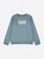 Sweat garçon col rond Bleu 1 - vertbaudet enfant 