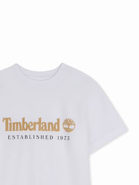 T-shirt  garçon à manches courtes Blanc+Marron clair 3 - vertbaudet enfant 