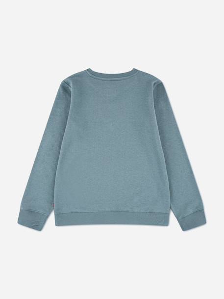 Sweat garçon col rond Bleu 2 - vertbaudet enfant 